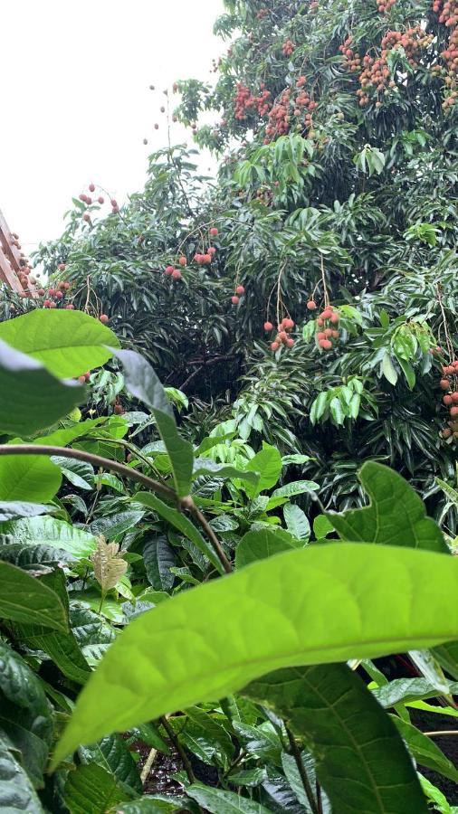 Il était une fois sous l’arbre Saint-André Extérieur photo